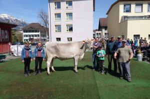 k-7Miss Genetik BS Nesto NIKI Beat Windlin